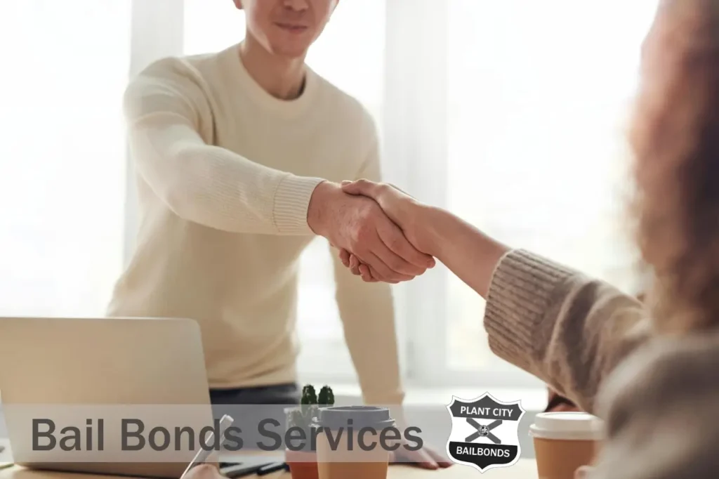 plantcity bail bonds service